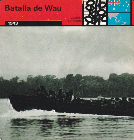 FICHA GUERRA EN TIERRA: BATALLA DE WAU. 1943