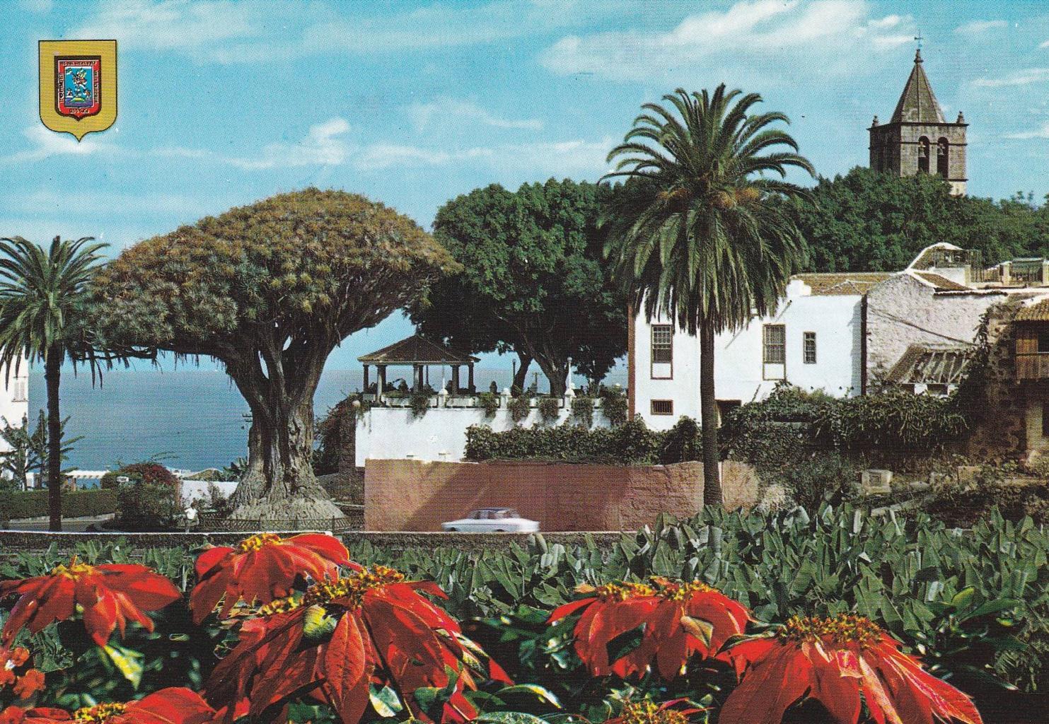 POSTAL B11722: TENERIFE: ICOD DE VINOS