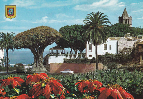 POSTAL B11722: TENERIFE: ICOD DE VINOS