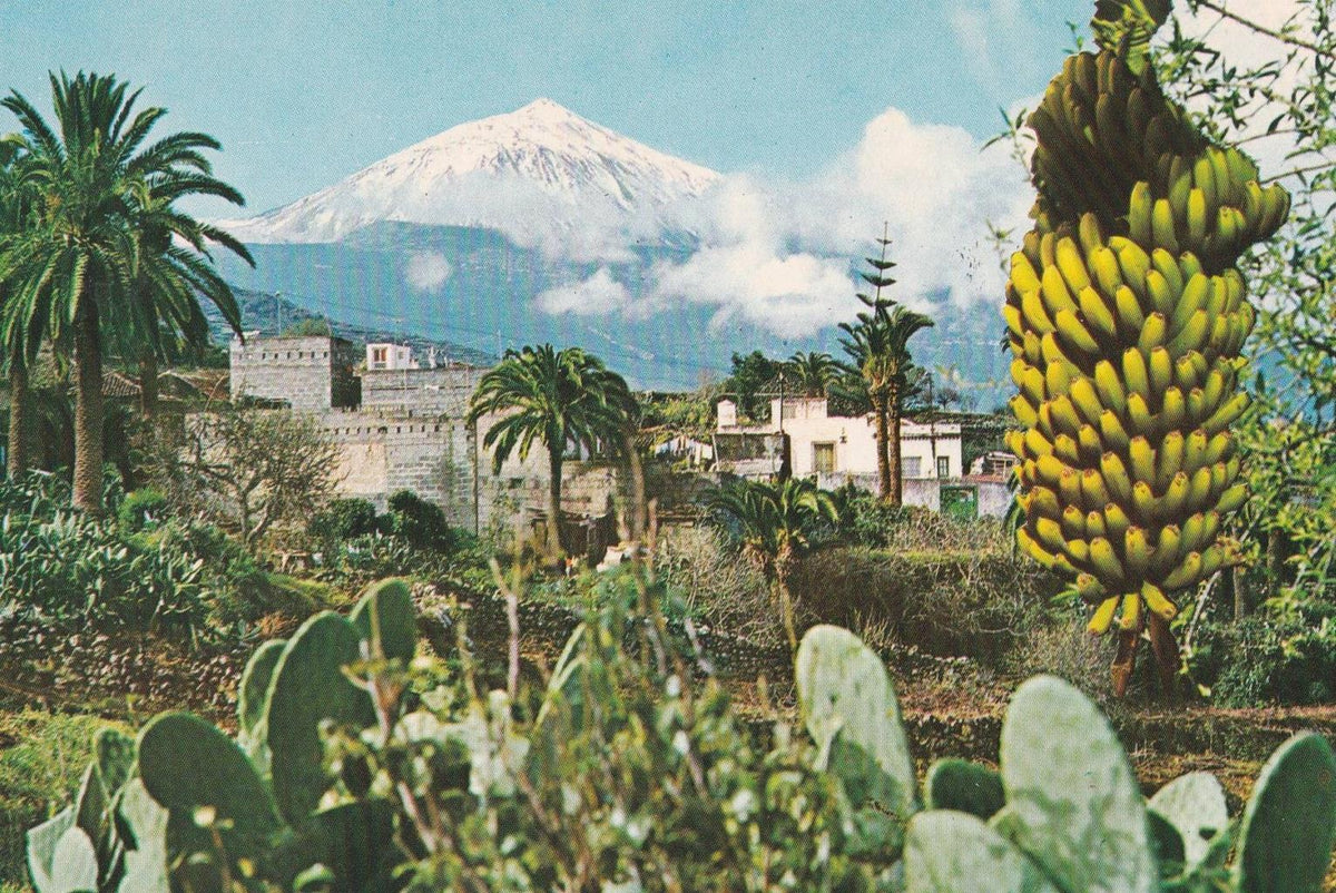 POSTAL B11718: TENERIFE: EL TEIDE