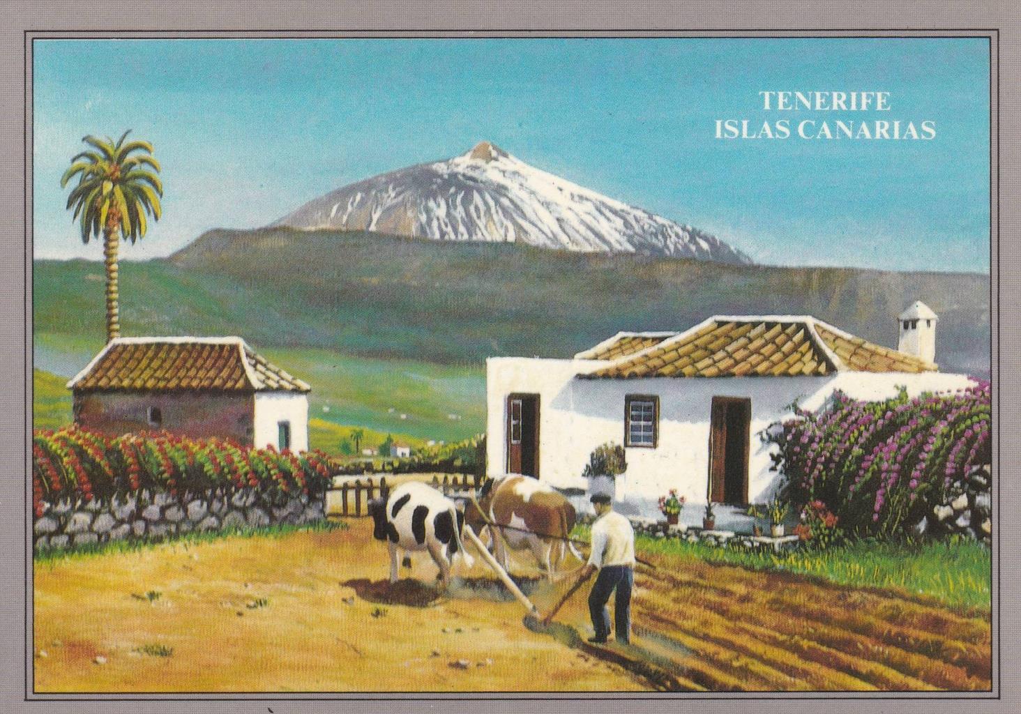 POSTAL B11716: ISLAS CANARIAS: EL TEIDE