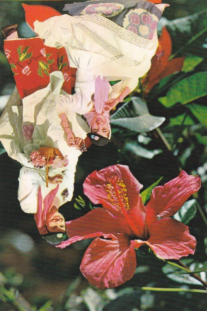 POSTAL B11715: ISLAS CANARIAS: ESCENA TIPICA