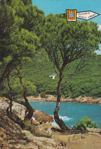 POSTAL B11801: COSTA BRAVA: AIGUA FREDA