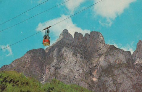 POSTAL B11812: PICOS DE EUROPA: ESPINAMA