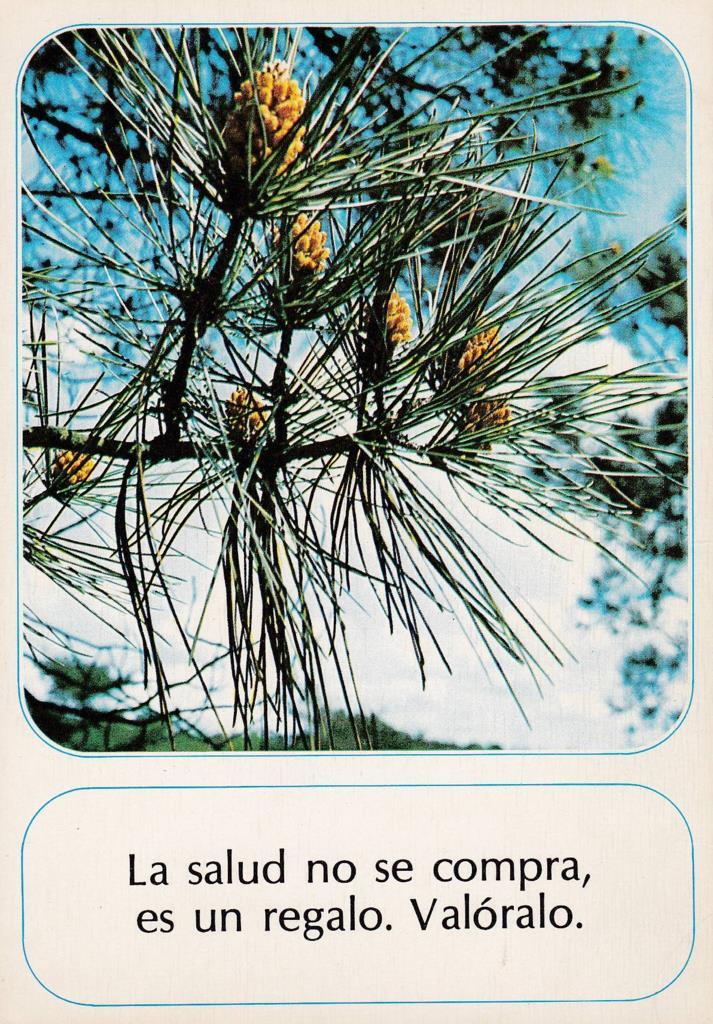 POSTAL B12115: LA SALUD NO SE COMPRA..