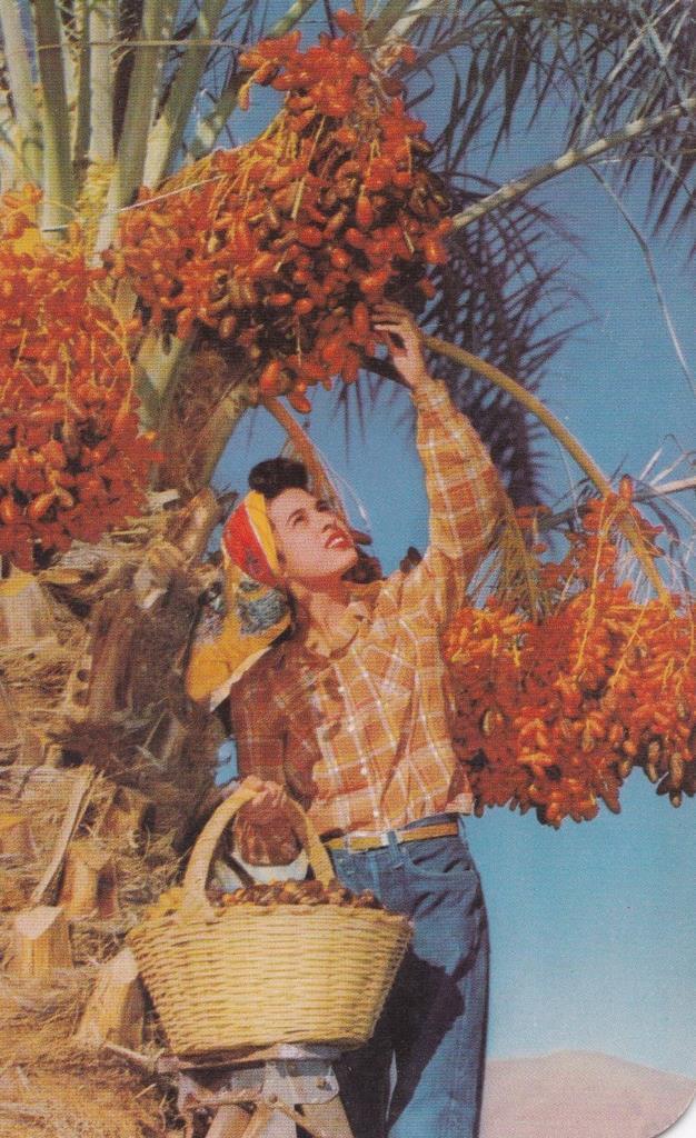 POSTAL B12051: PICKING  DATES