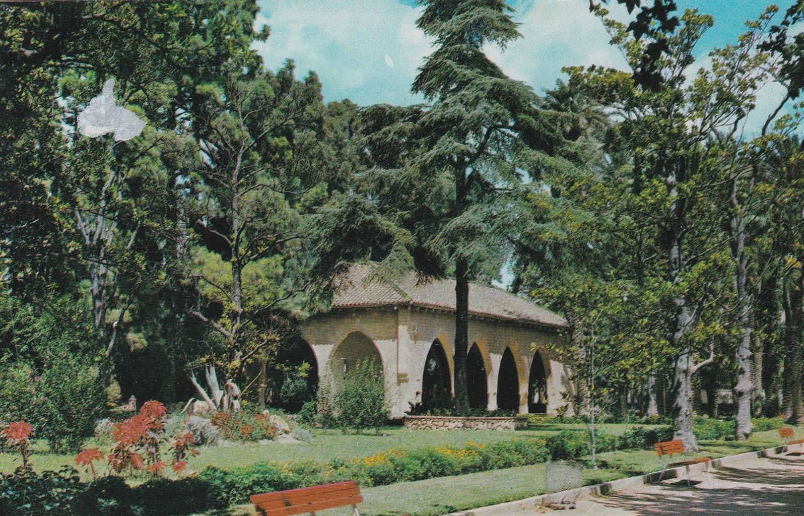 POSTAL B12200: TORTOSA: LONJA DEL PARQUE