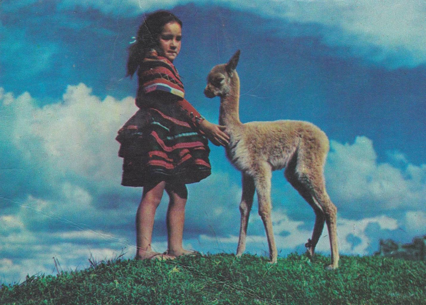 POSTAL B12170: PAIS VASCO. BABY VICUÑA