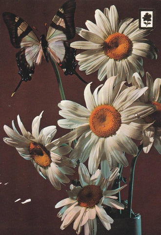POSTAL B11841: COLECCIÓN FLORES. SERIE E