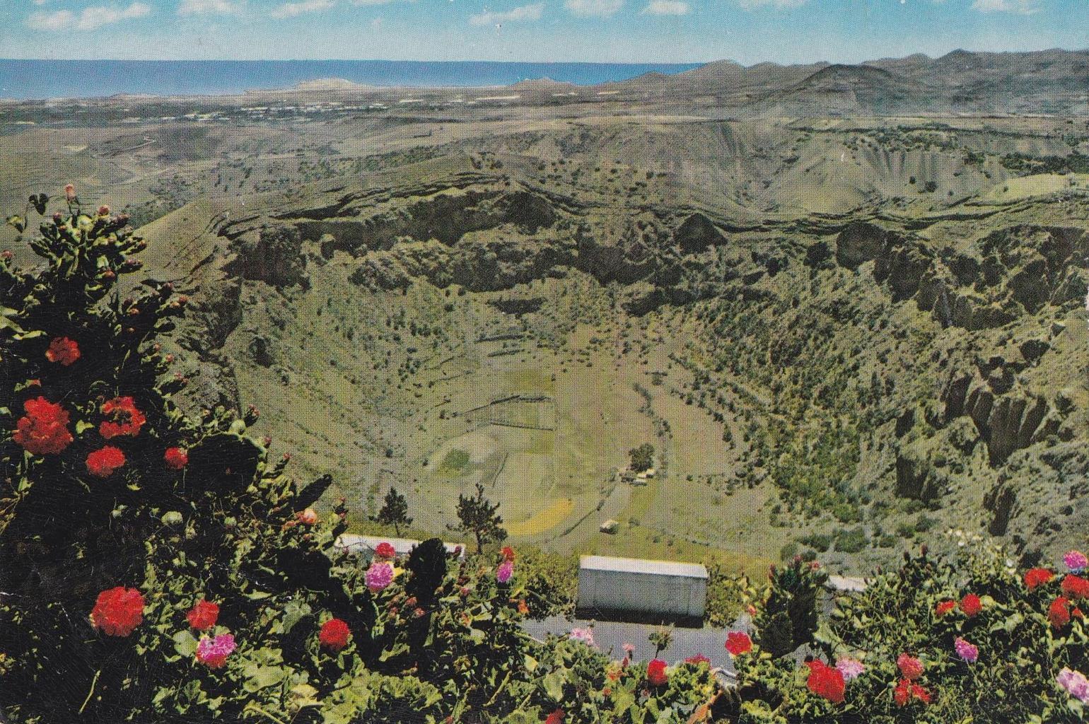 POSTAL B11879: TENERIFE: PUERTO DE LA CRUZ