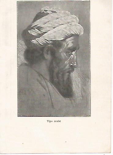 LAMINA 13784: Tipo arabe