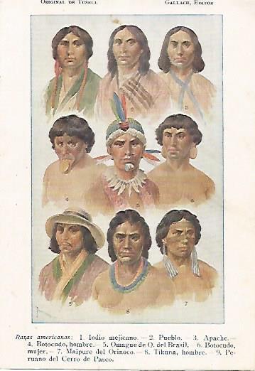 LAMINA 13763: Razas de America Central, dibujo de Tusell
