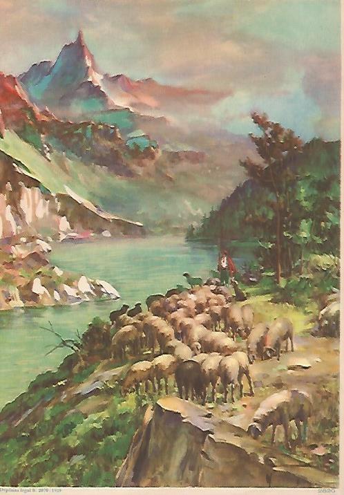 LAMINA 13863: Ovejas y rio, numero 2820