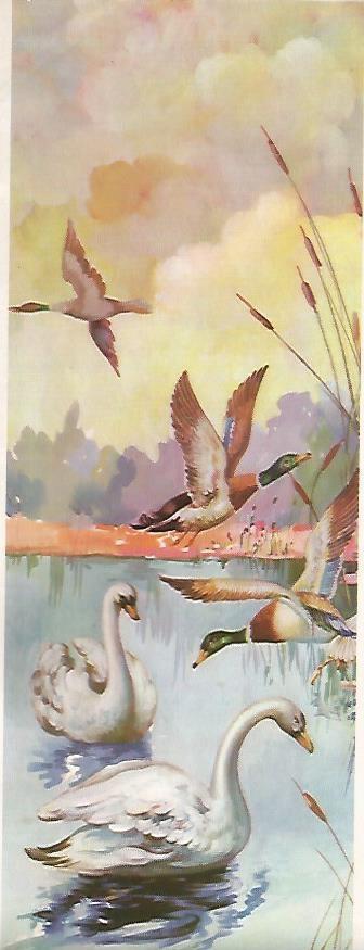LAMINA 13861: Cisnes