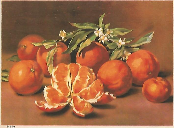 LAMINA 13884: Bodegon, numereo 1650-4