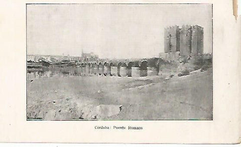 LAMINA 13847: Puente romano de Cordoba