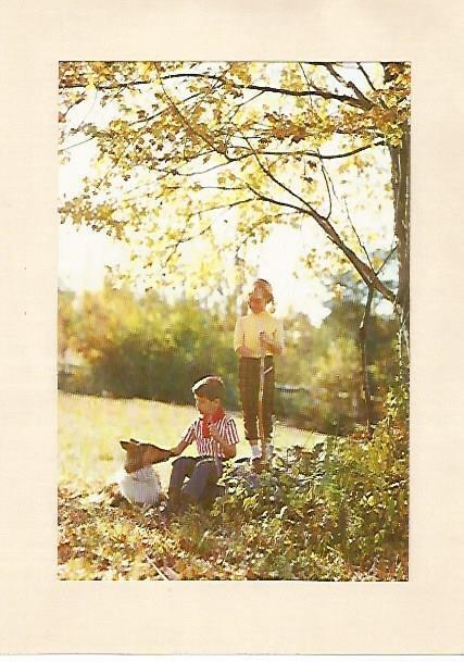 LAMINA 13893: Fotografia de niños enmarcada en papel