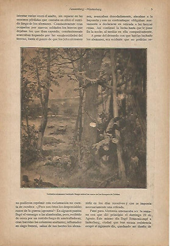 LAMINA 13667: Soldados de Alemania en los bosques de Soldau