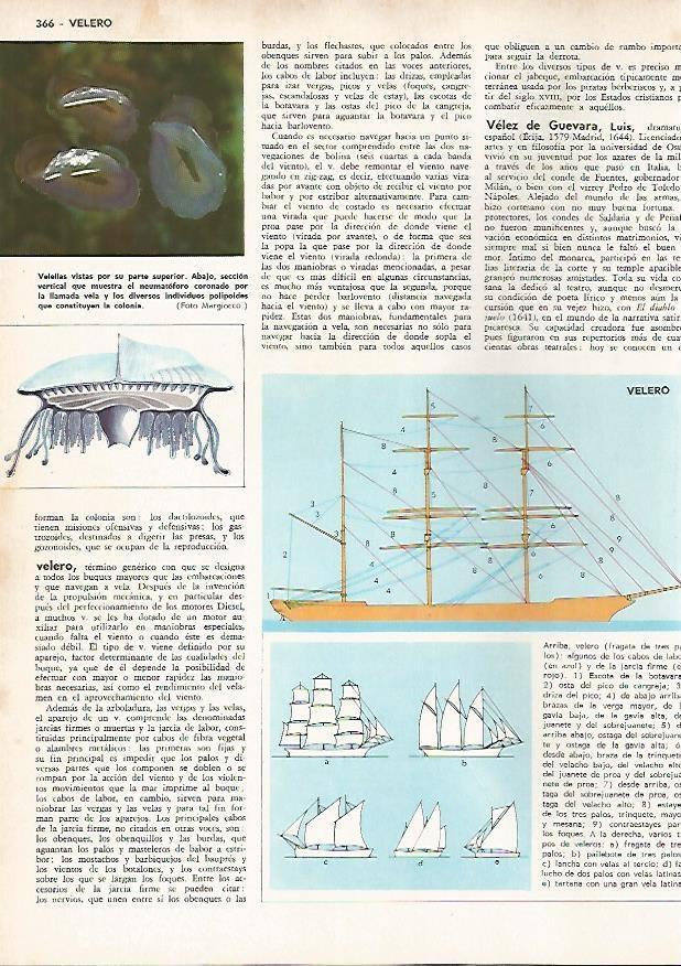 LAMINA MONITOR 0764: Velero