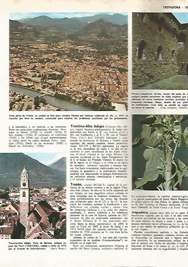 LAMINA MONITOR 0720: Vista aerea de Trento y de Merano, Italia