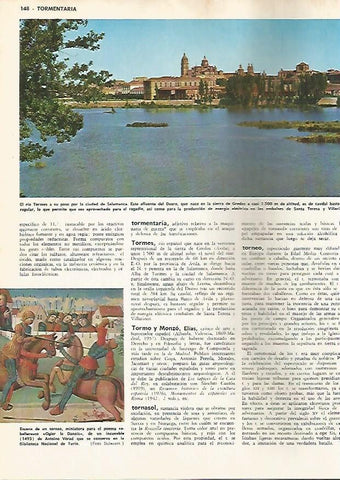 LAMINA MONITOR 0711: El rio Tormas por Salamanca