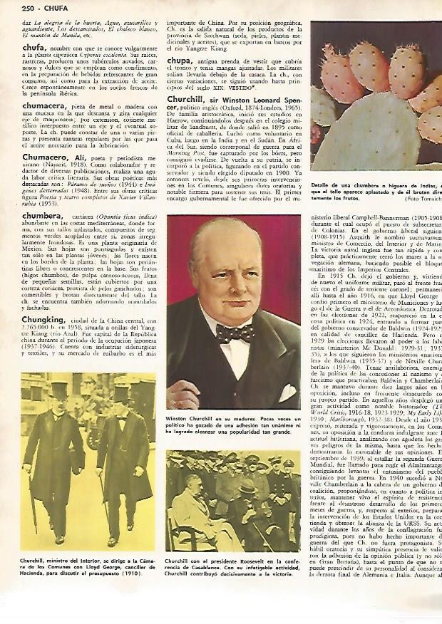 LAMINA MONITOR 0838: Winston Churchill 