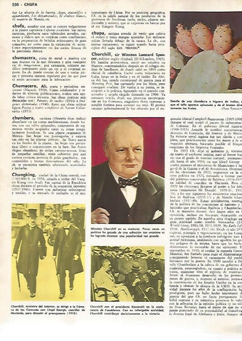 LAMINA MONITOR 0838: Winston Churchill 