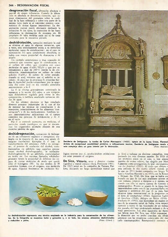 LAMINA MONITOR 0856: Tumba de Carlos Marsuppini en Florencia