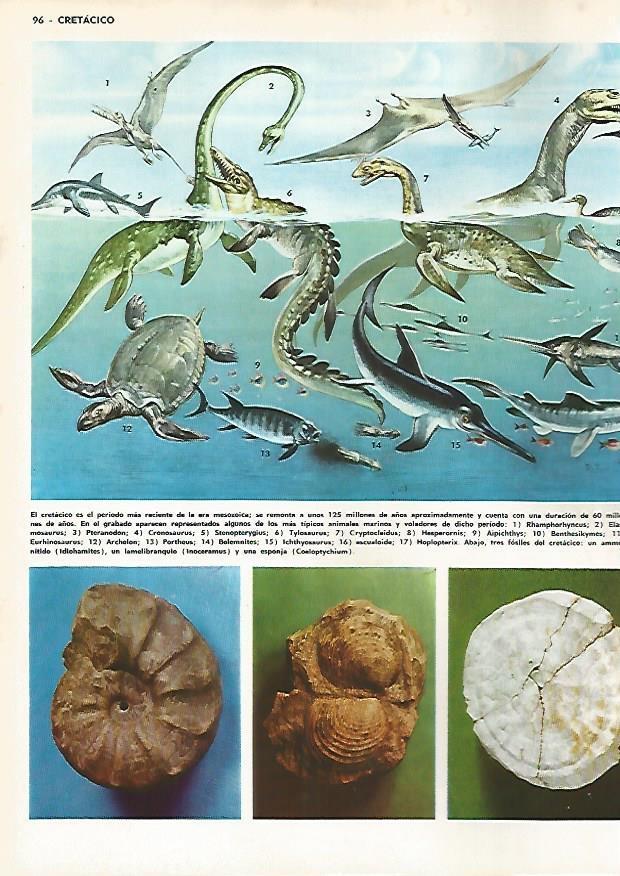 LAMINA MONITOR 0811: Animales marinos y voladores del Cretacico