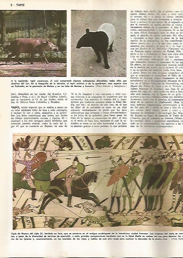 LAMINA MONITOR 0682: Tapir americano y Tapiz de Bayeaux