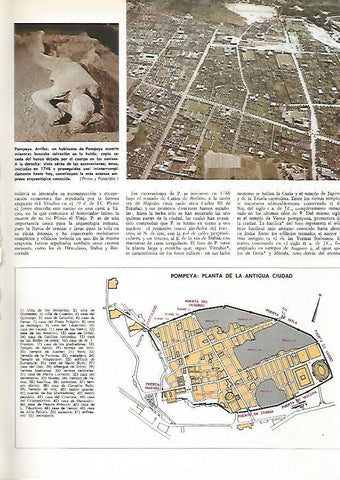 LAMINA MONITOR 0562: Vista aerea y planta de Pompeya