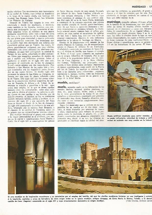 LAMINA MONITOR 0506: Castillo de Coca, Segovia