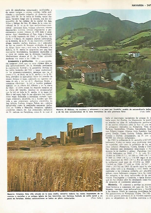LAMINA MONITOR 0517: El Bidasoa y Artajona en Navarra