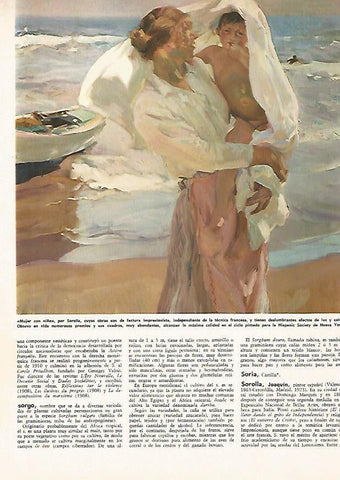 LAMINA MONITOR 0674: Mujer con niño, por Sorolla