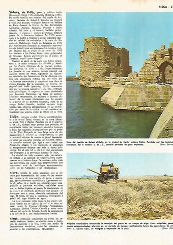 LAMINA MONITOR 0661: Castillo de Qalaat al Bahr en Libano