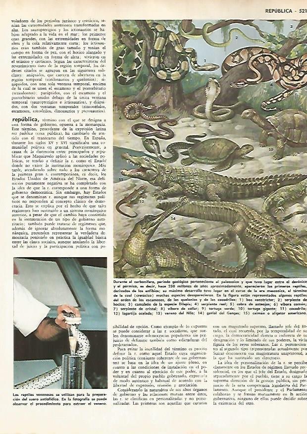 LAMINA MONITOR 0604: Reptiles