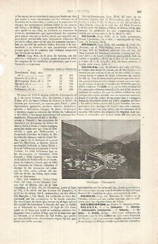 LAMINA ESPASA 33005: Vista de Sils, Suiza