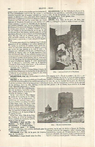 LAMINA ESPASA 32996: Arco del barrio de la Magdalena y torreon arabe de Siles, Jaen