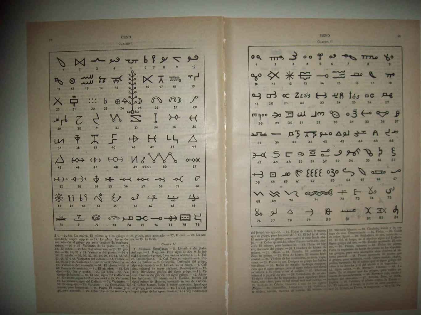 LAMINA ESPASA 32983: Signos