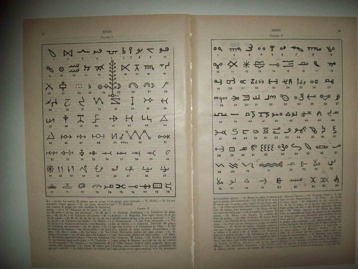 LAMINA ESPASA 32983: Signos