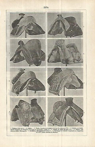 LAMINA ESPASA 33022:  Sillas de montar