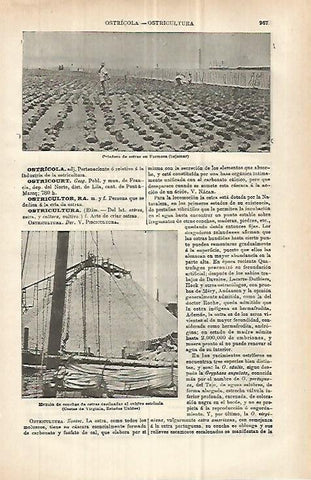 LAMINA ESPASA 32954: Criadero de ostras en Formosa