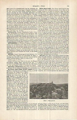 LAMINA ESPASA 33109: Vista de Sivas, Turquia