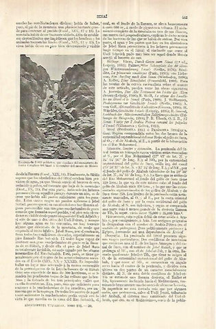 LAMINA ESPASA 33054: Escalera de acceso al Monasterio del Sinai, Egipto