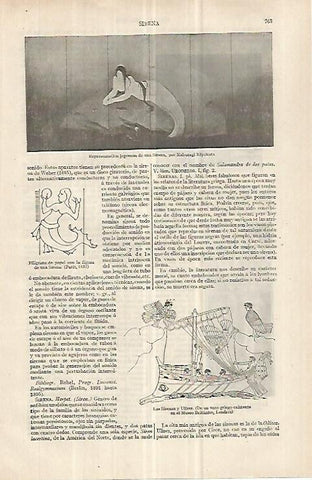 LAMINA ESPASA 33078: Sirena de Japon, por K. Kiyokata