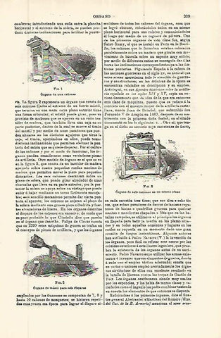 LAMINA ESPASA 32772: Organo de tres, seis y de mastil