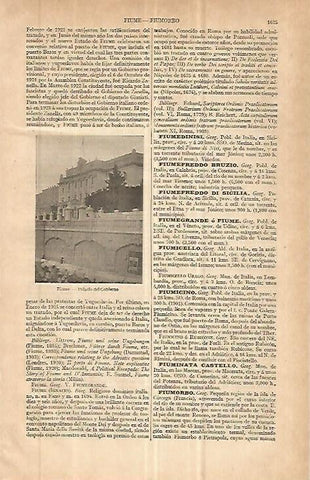 LAMINA ESPASA 32728: Palacio del Gobierno en Fiume, Italia