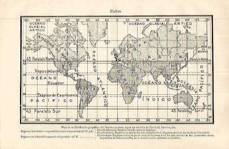 LAMINA ESPASA 32676: Mapa mundial de la Stegomya fasciata 