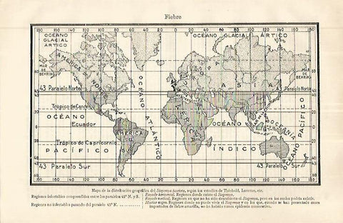 LAMINA ESPASA 32676: Mapa mundial de la Stegomya fasciata 