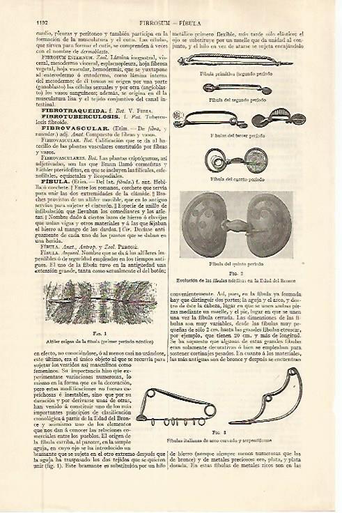 LAMINA ESPASA 32672: Fibulas nordicas